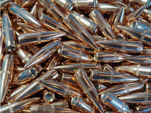 GGG .224 62gr FMJ Geschosse 1000 Stk