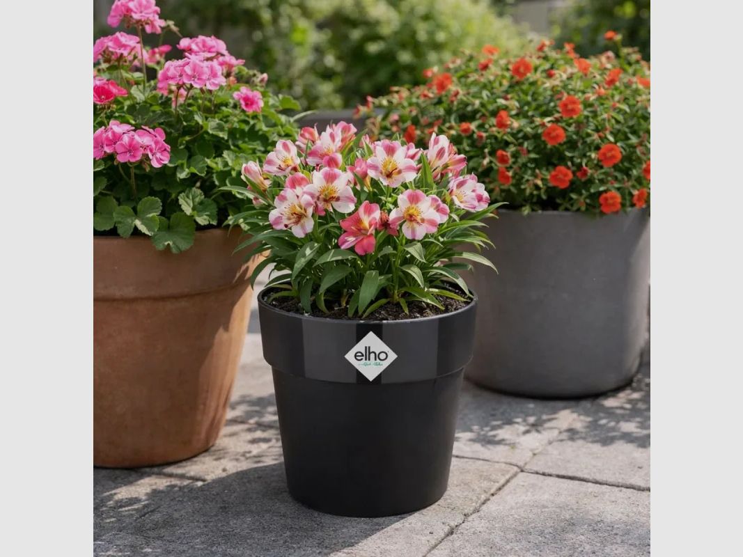 Elho flower pot Ø22xH20cm black made of recycled plastic with integrated water reservoir, image 1 of 7
