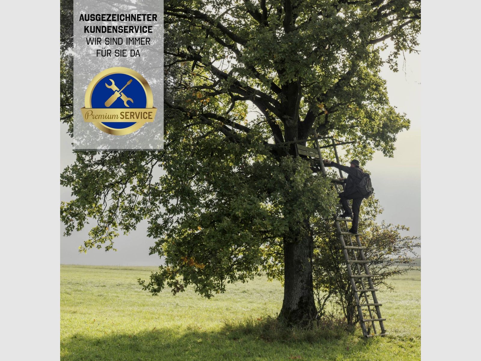 STEINER binoculars Nighthunter 8x56