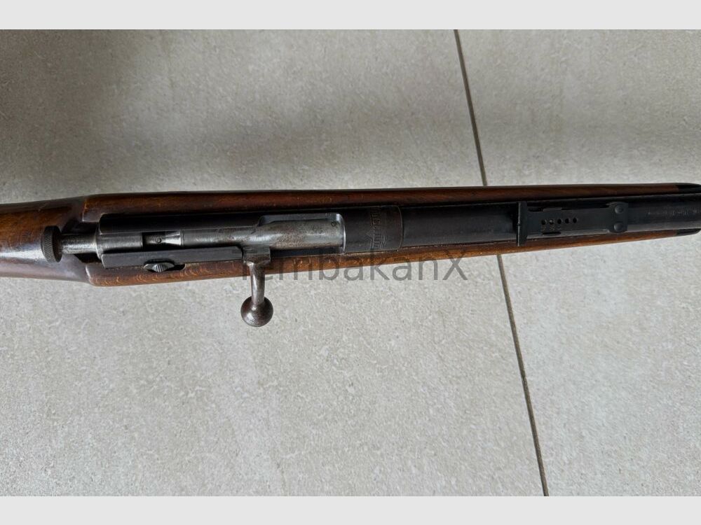 Anschütz .22lr