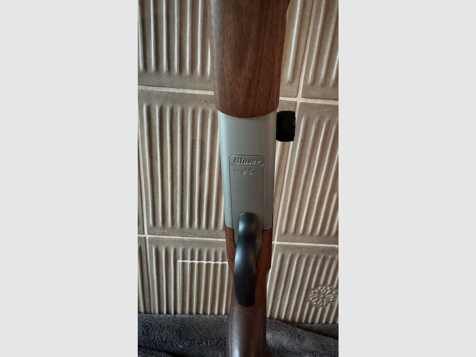 Blaser BS95 