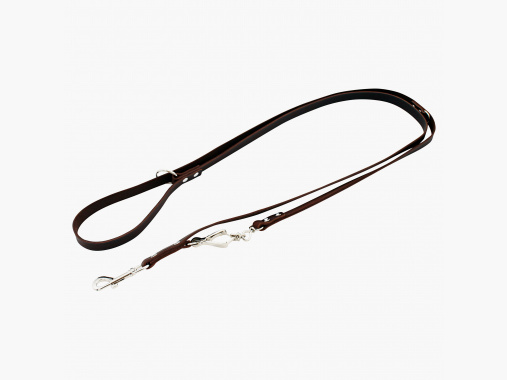 casa guinzaglio in pelle per cani |