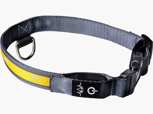 Halsband LED Orange Orange XL