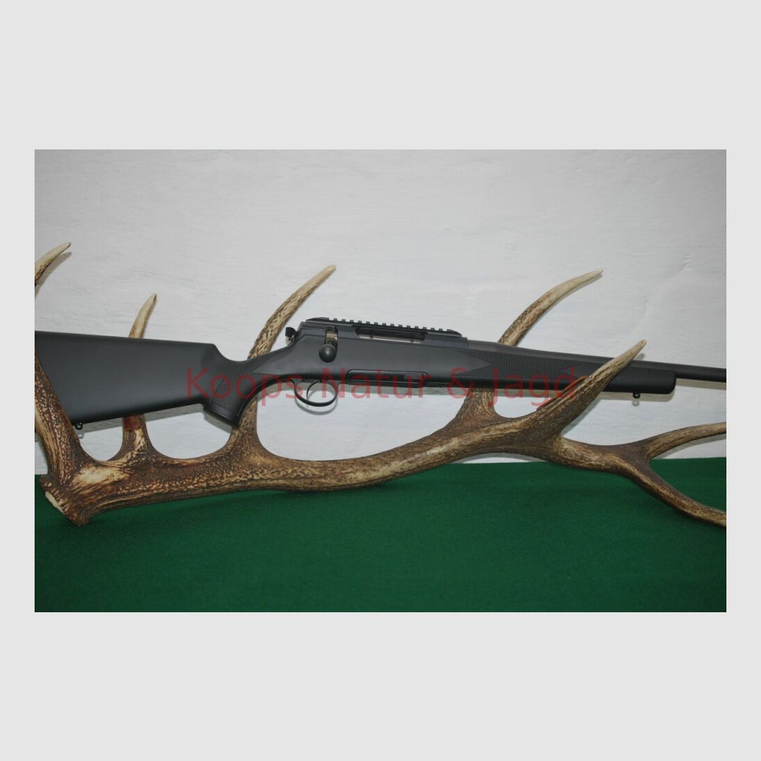 Rössler Signature Allround