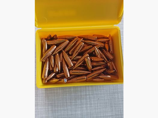 .224 Geschoss .62 Grains Speer