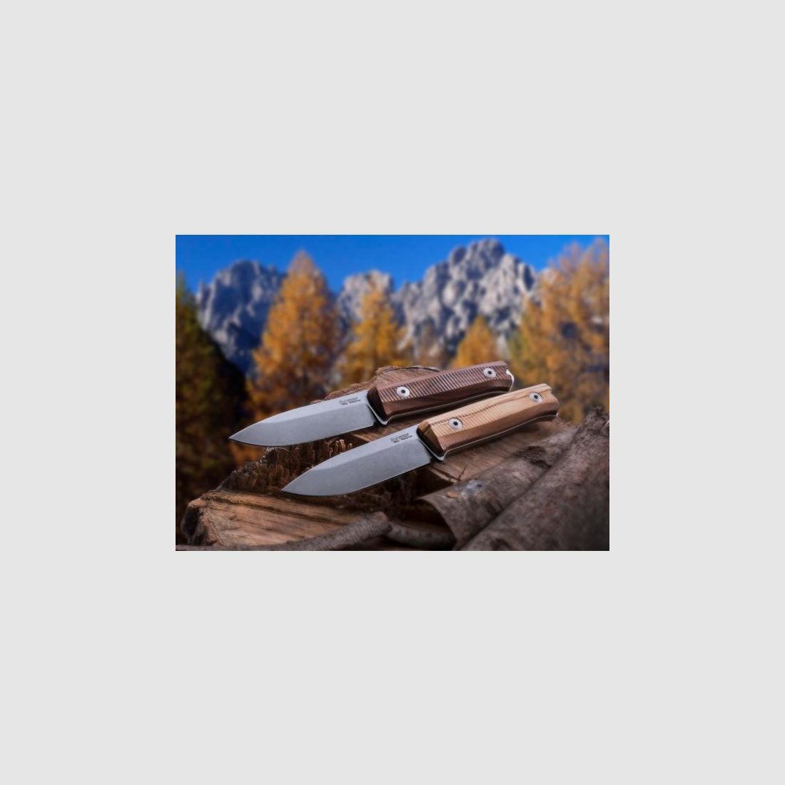 LionSteel B40 Olive Wood Outdoormesser, Bild 5 von 6