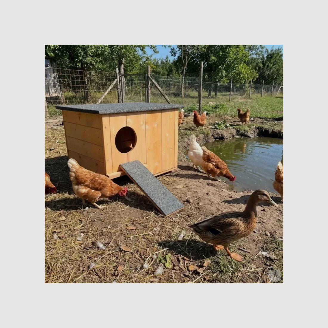 Holz-Nistkasten mit Schikanen für Enten und Schnatterenten 45 × 27 × 33 cm, Bild 1 von 11