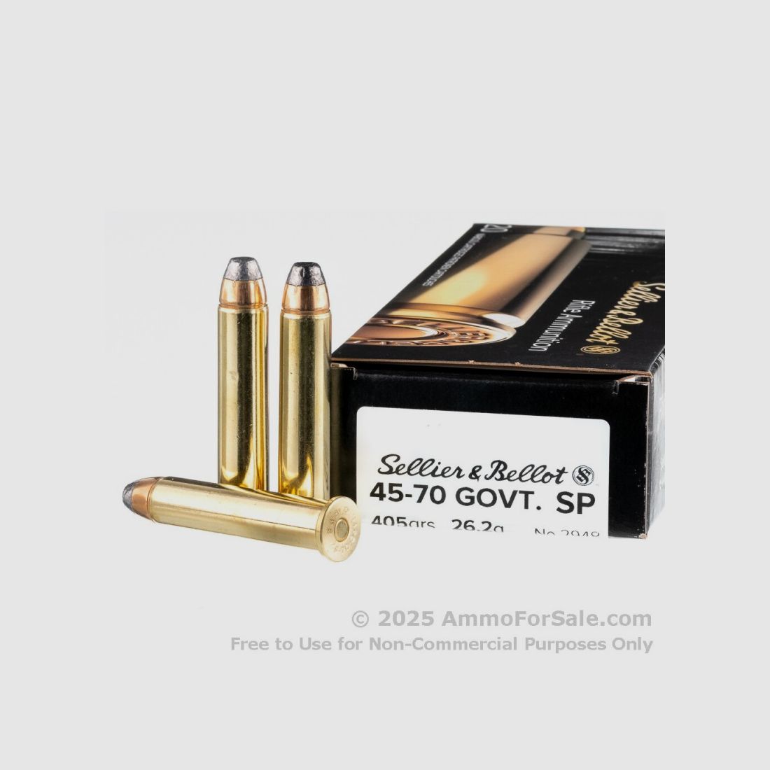 Sellier & Bellot 45-70 GOVT SP 405grs 26,2g Box mit 20 Schuss