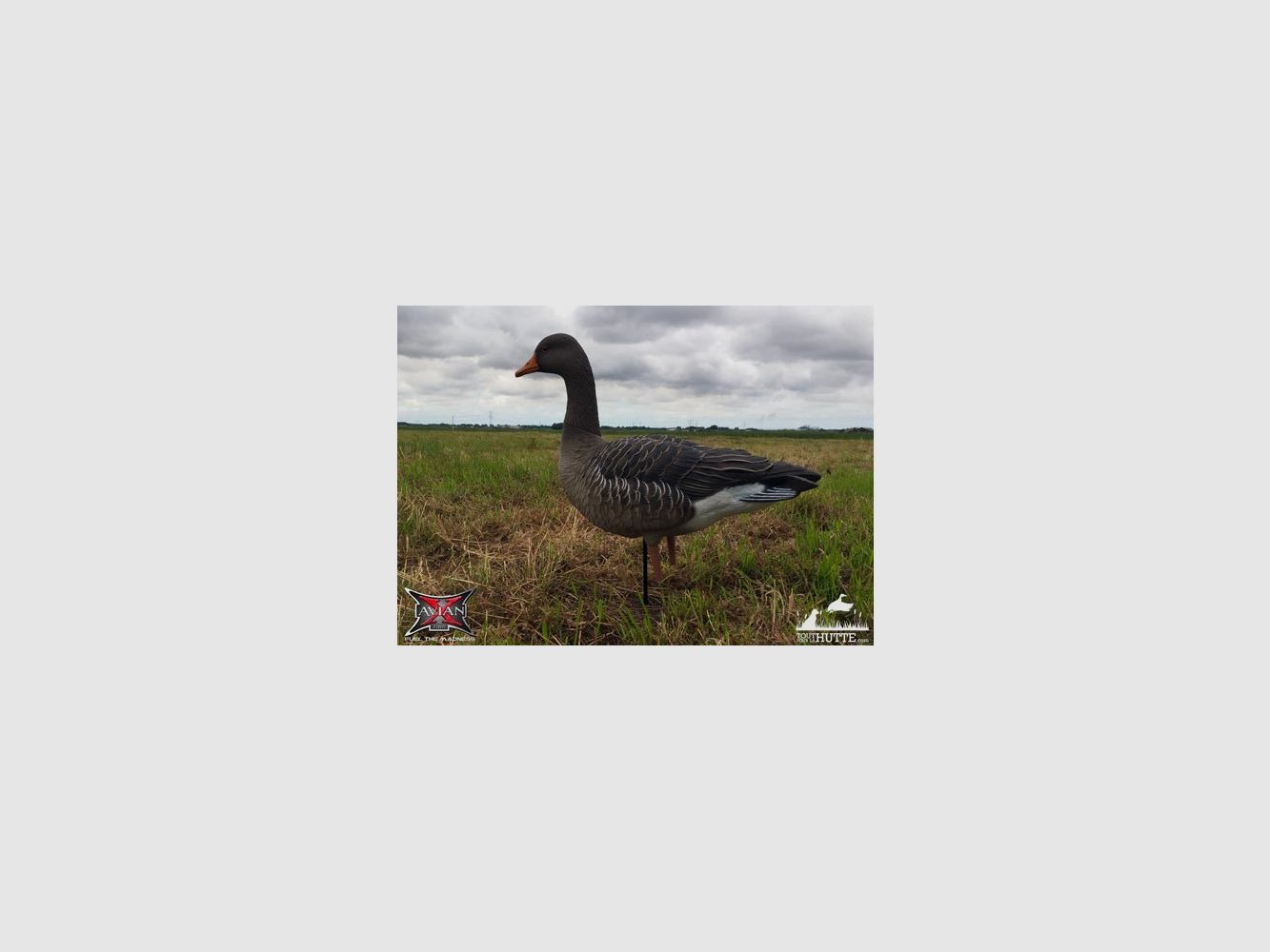 Formen von Graugans auf Füßen AvianX x6, Bild 6 von 8