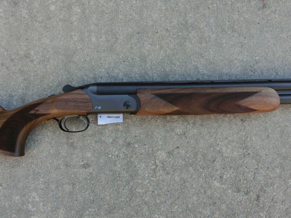 Blaser F16 Game