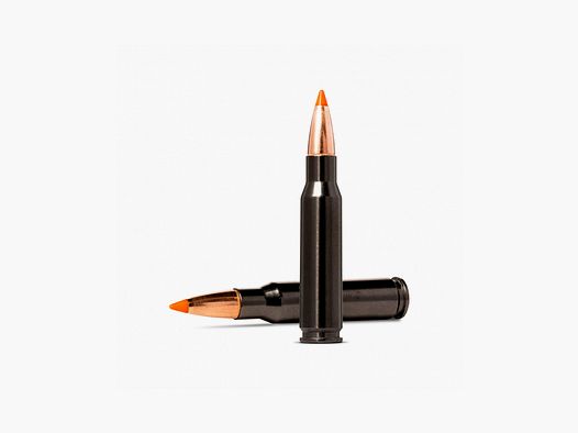 Munición Metálica NORMA .308 Win. TipStrike Silencer 170 Grains
