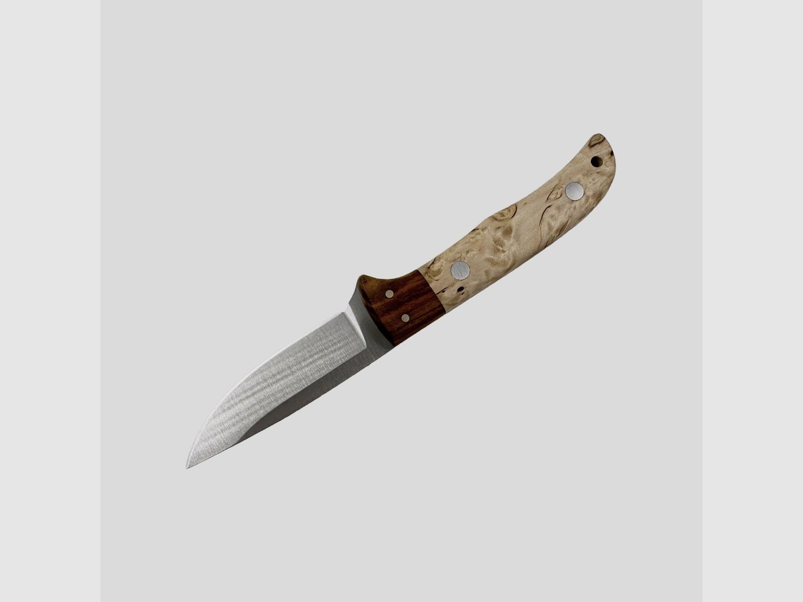 Miguel Nieto – Coyote Curly Birch 1059, Bild 2 von 3