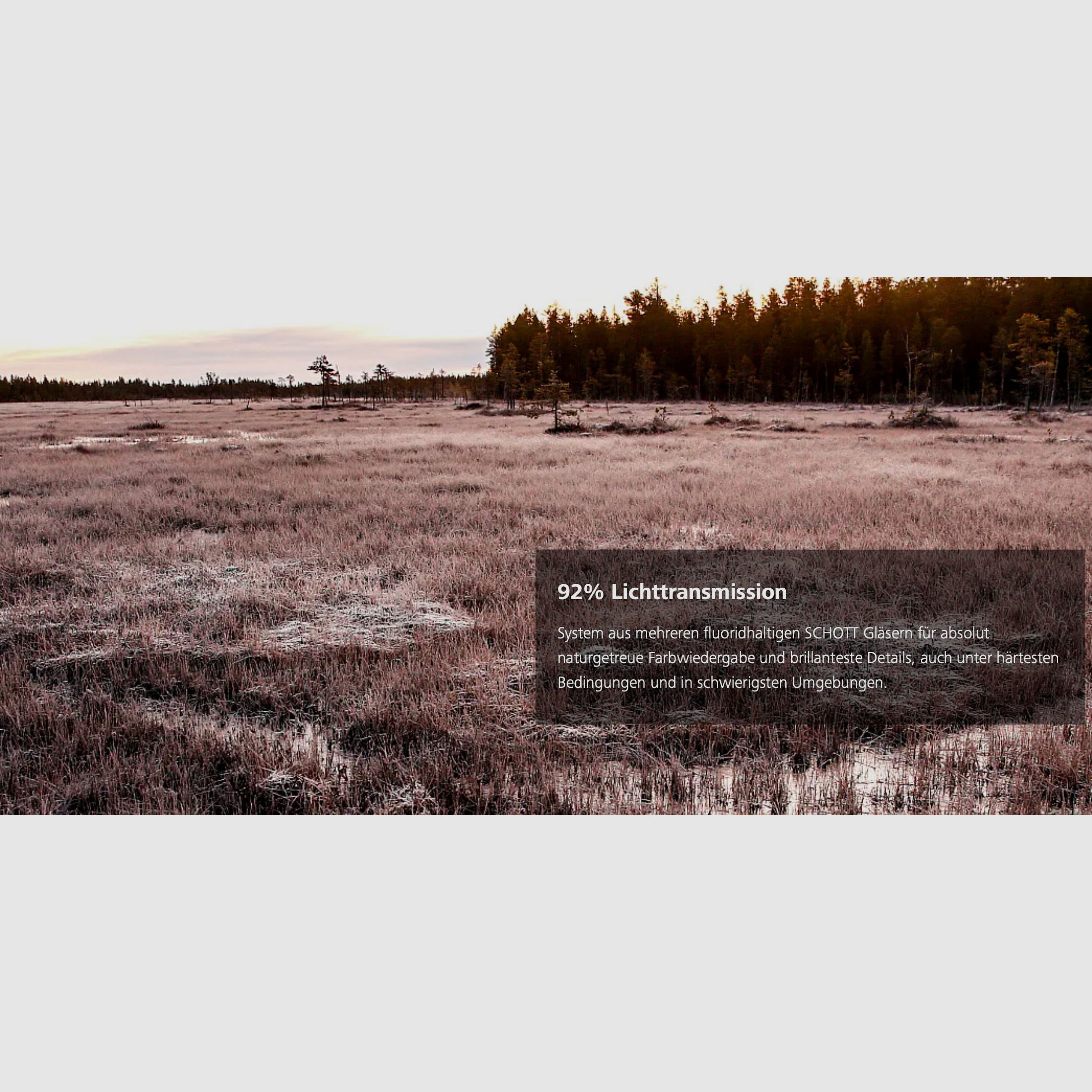 Aussteller ZEISS Conquest V6 2-12x50 M ill. Absehen 60 mit Zeiss Schiene Zielfernrohr LP