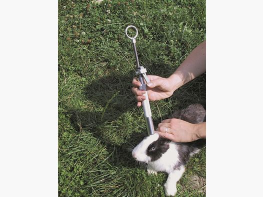 Rabbit killer Kieferle