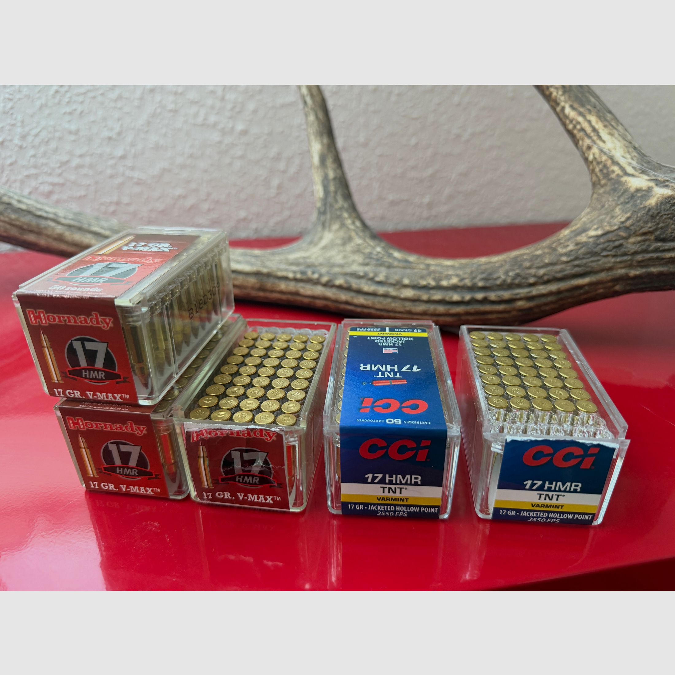 235 Schuss .17 HMR (Hornady & CCI) 17GR VMAX