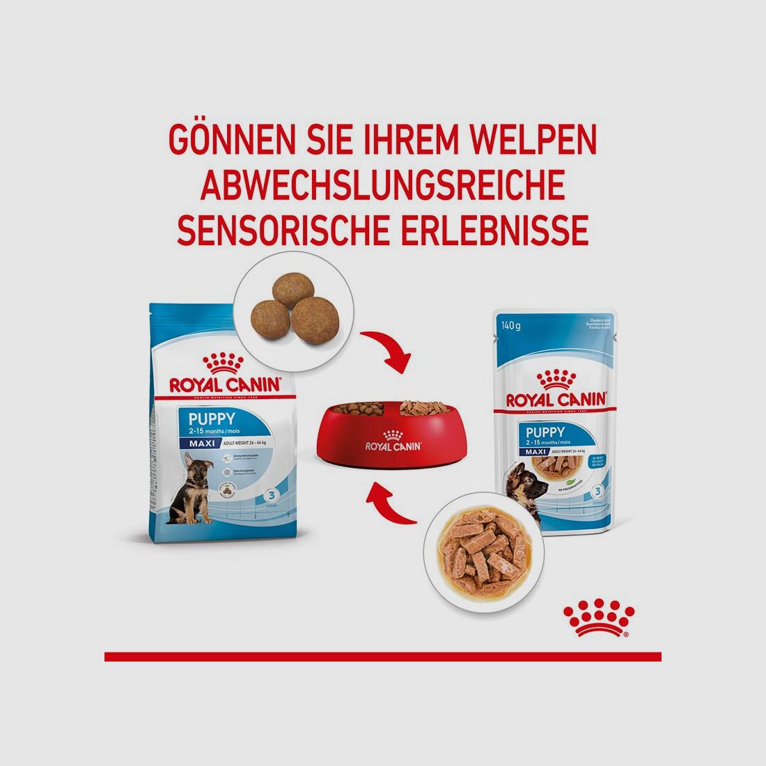 ROYAL CANIN Große Hunde Nassfutter Maxi Welpen bis zum 15. Monat 10x140 g