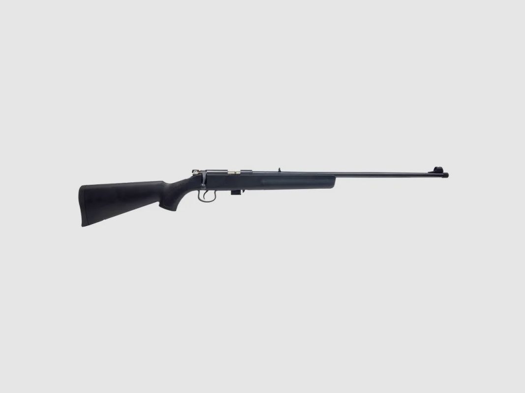 CARABINE NORINCO NR15 CAL.22LR, image 2 sur 4