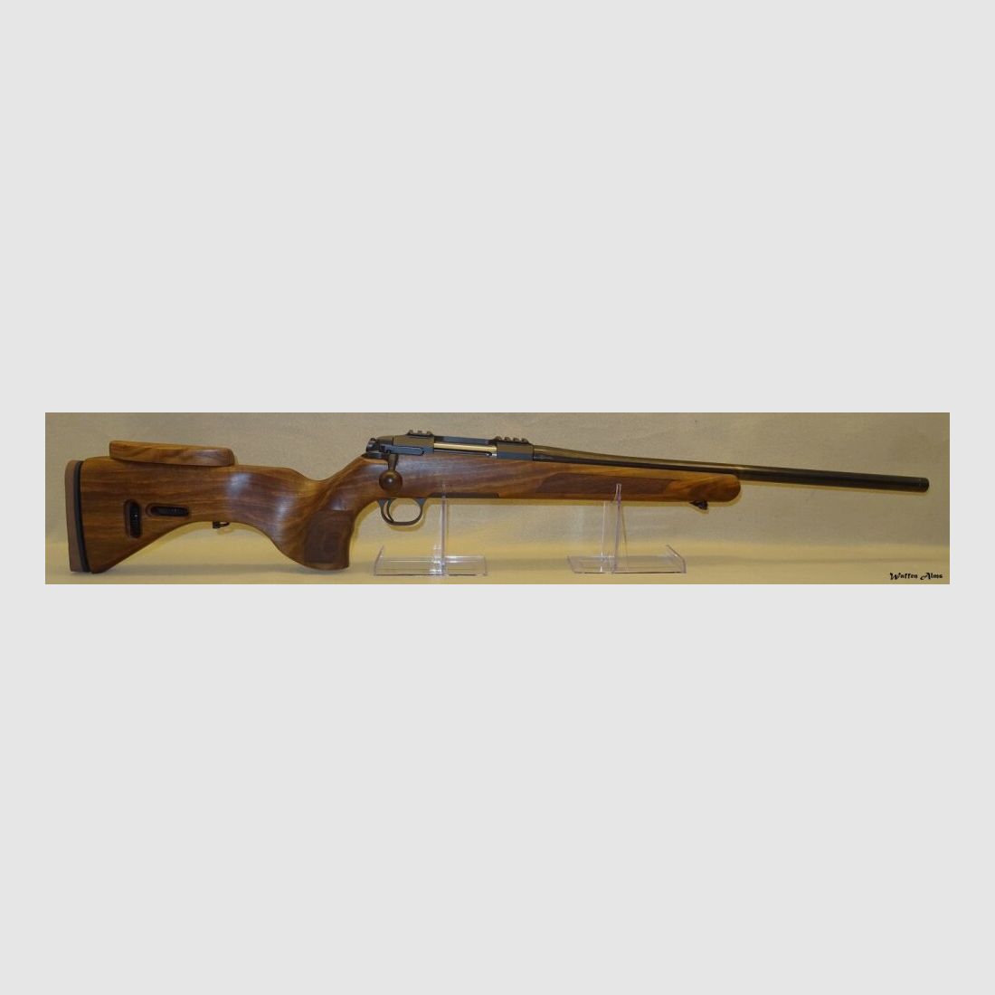 Steel Action HS