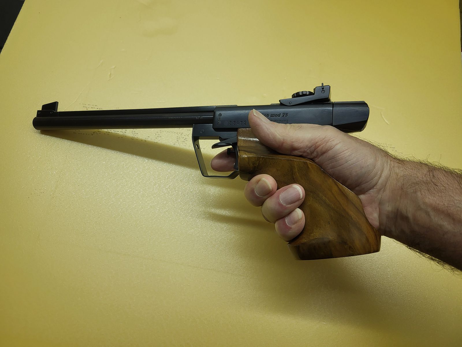 Freie Pistole Kaliber 22
