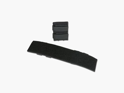 Tasmanian Tiger Tasmanian Tiger Klettfläche Modular Patch Holder schwarz