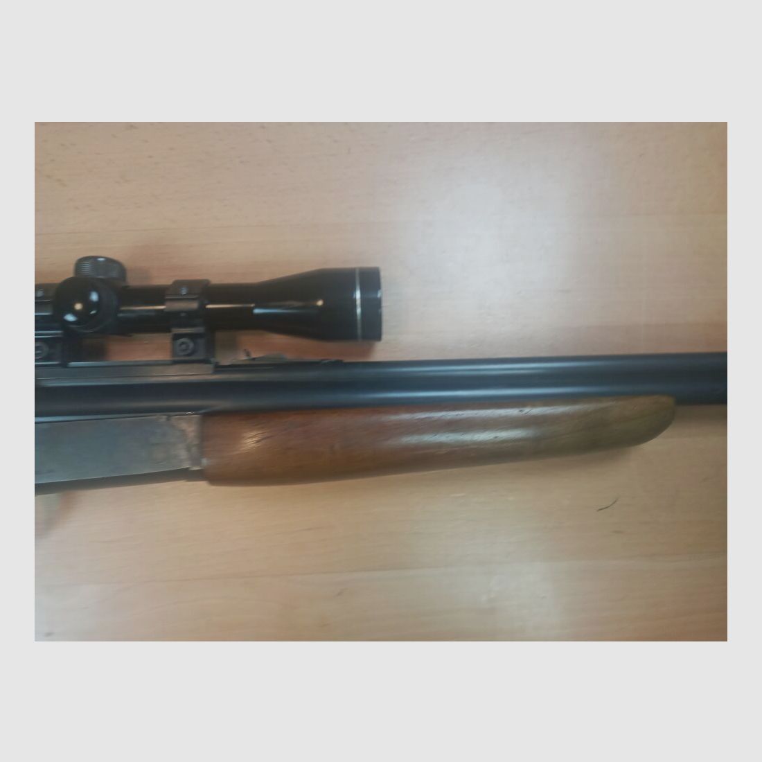 Savage Modell 24