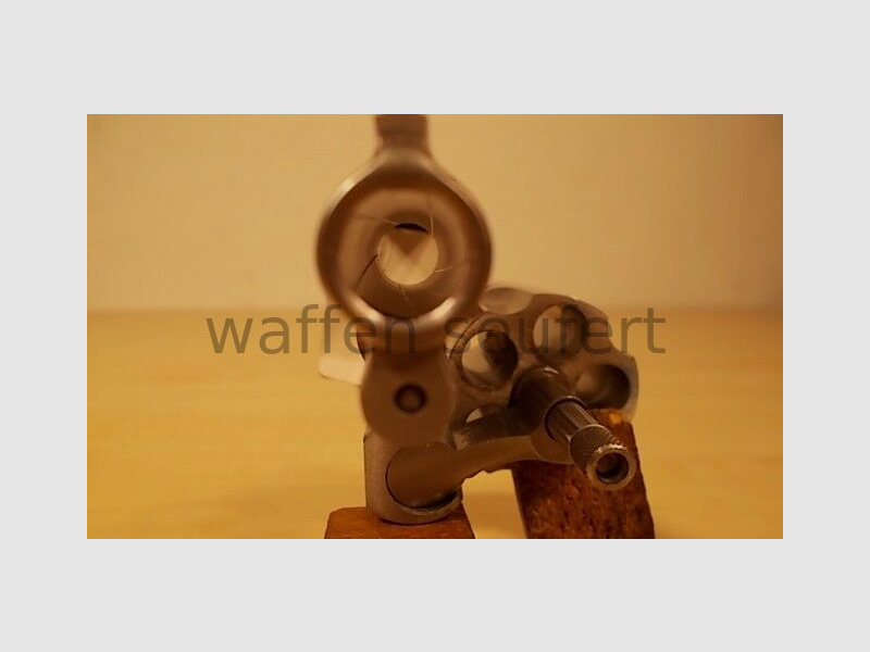 Smith & Wesson M60 RVS