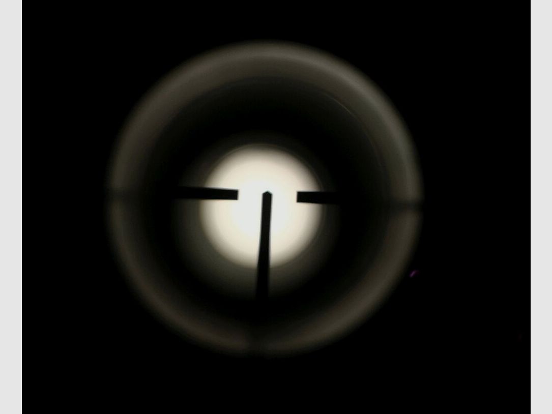 Zastava sans * avec Zeiss Diatal 8x56 T*