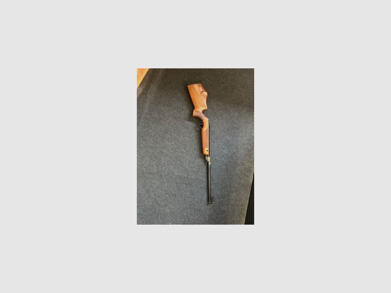 Walther LGV 4.5