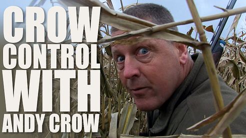 Crow Control with Andy Crow