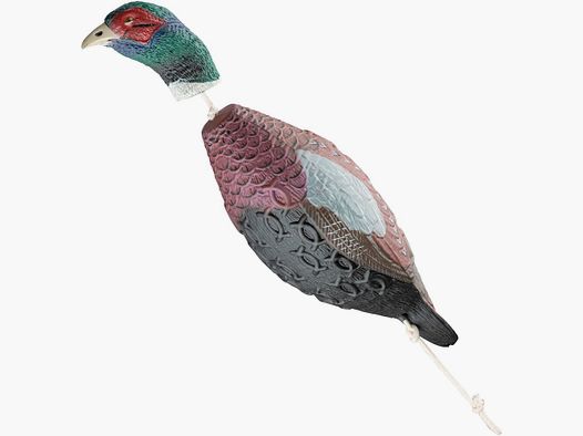 HP&G Retriever dummy pheasant