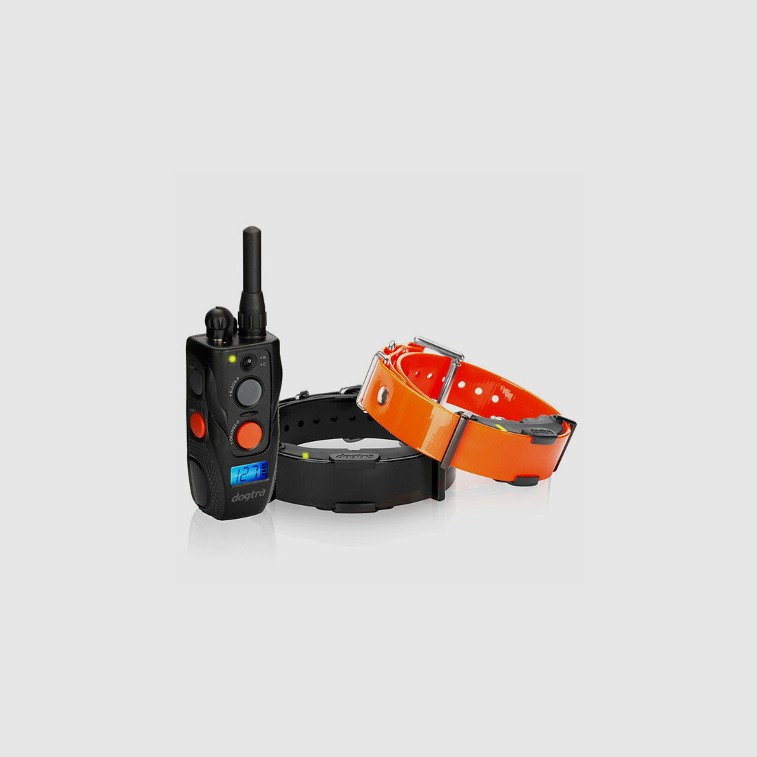 Dogtra ARC 802 FernTrainer