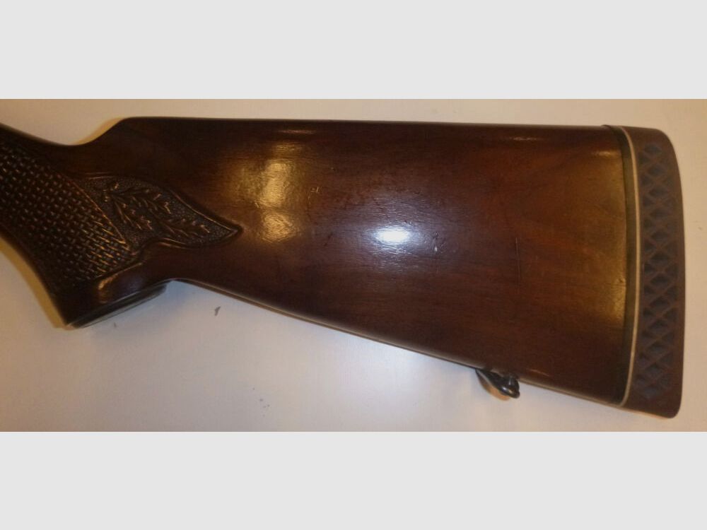 Winchester 100