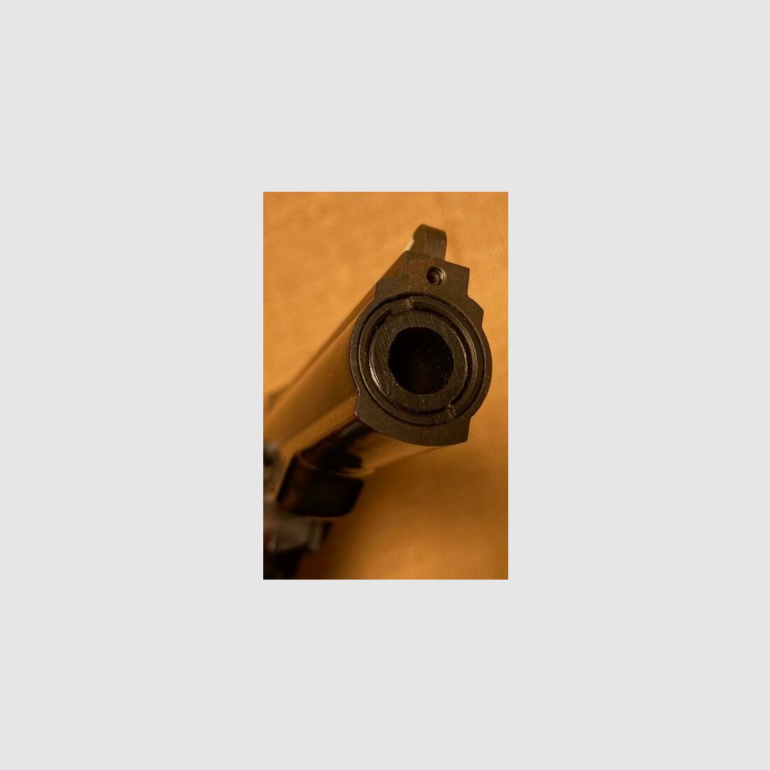 Dan Wesson 15