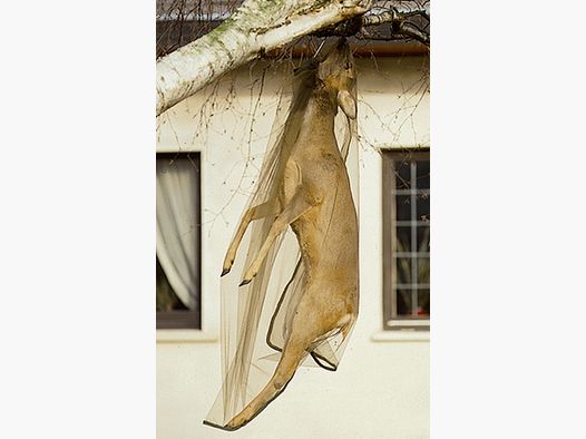Fritzmann Fliegennetz f. Hirsch Jagdzubehör