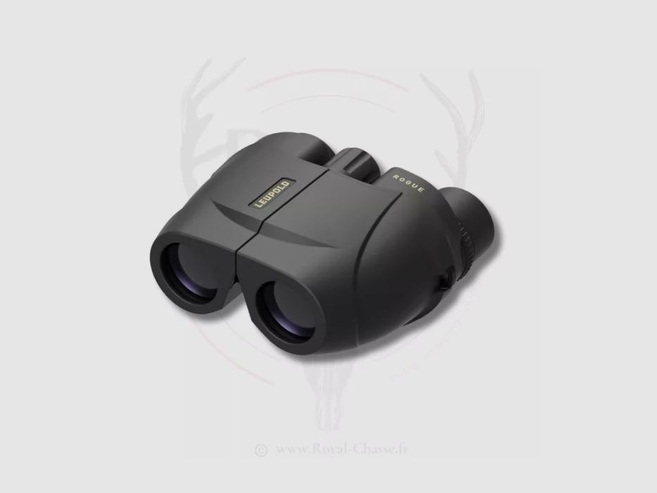 Leupold BX-1 Rogue 10x25 Kompakt Porro Schwarz, Bild 1 von 4