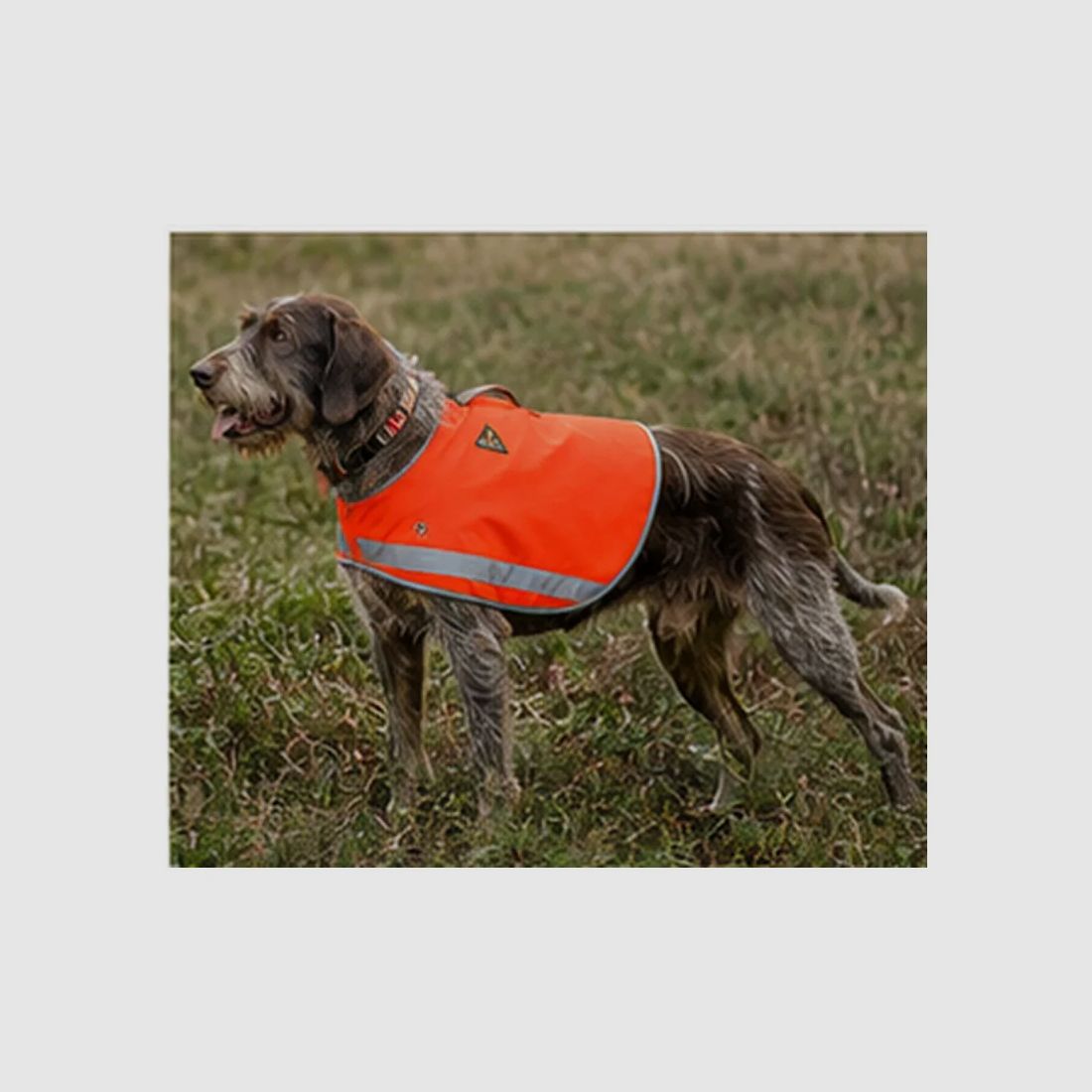 Sicherheitsweste Stepland orange fluo XL/2XL für große Hunde, Bild 1 von 7