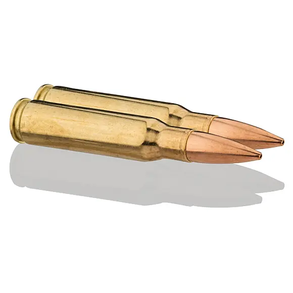 Jagdballen Sologne Subsonisch Kaliber 243 Win, Bild 3 von 8