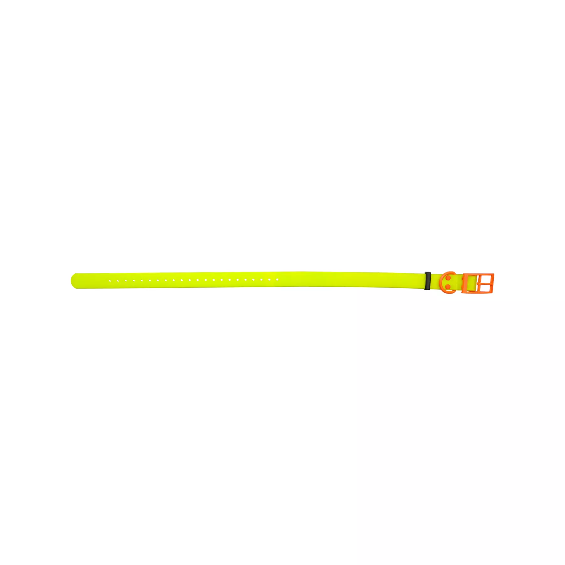 HP&G Hundehalsband 25mm Gelb, Bild 1 von 3
