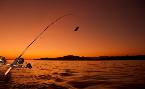 What equipment do I need as a beginner in fishing?
