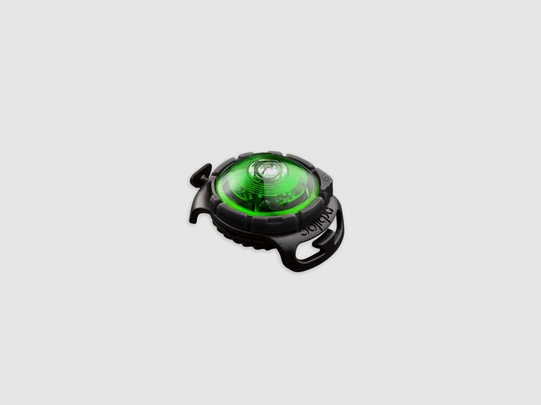 Orbiloc LED-Sicherheitslicht Dog Dual Grün
