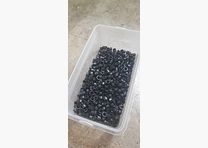 Laufdichtung Feinwerkbau Mod. 300 / 300S schwarz neu Preis pro Stück