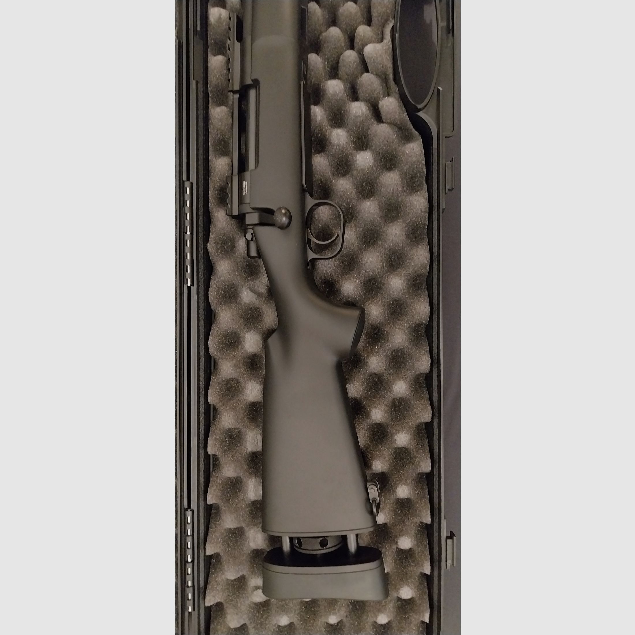 Novritsch SSG24 mit viel Zubehör, bald nicht mehr erhältlich, Sammlerstück, Neu!