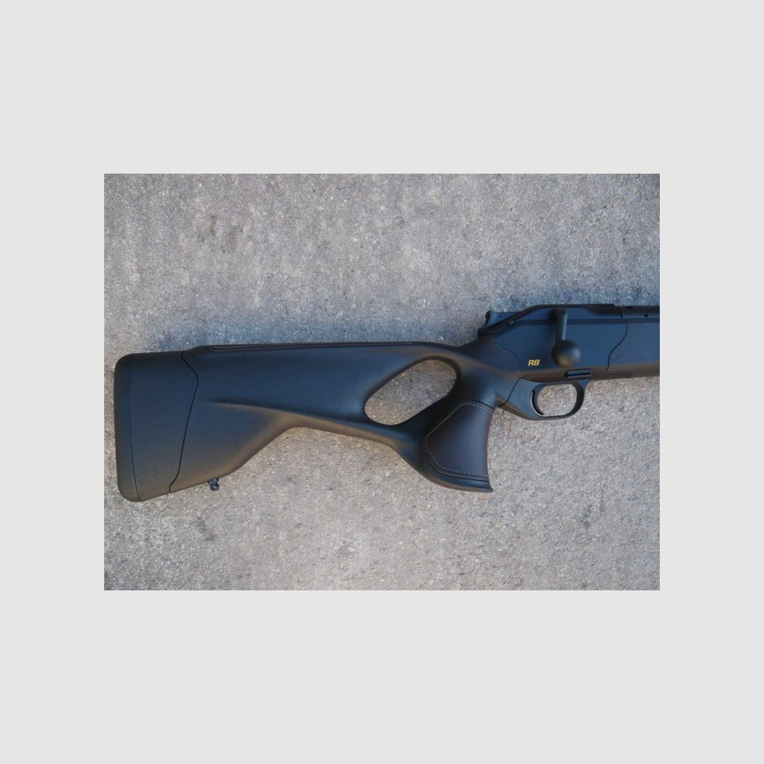 Blaser R8 Ultimate Silence Pelle