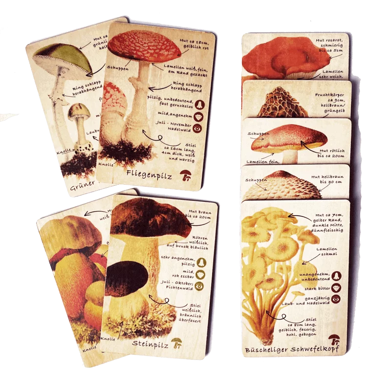 Schede in legno carte di apprendimento funghi set (9 carte)
