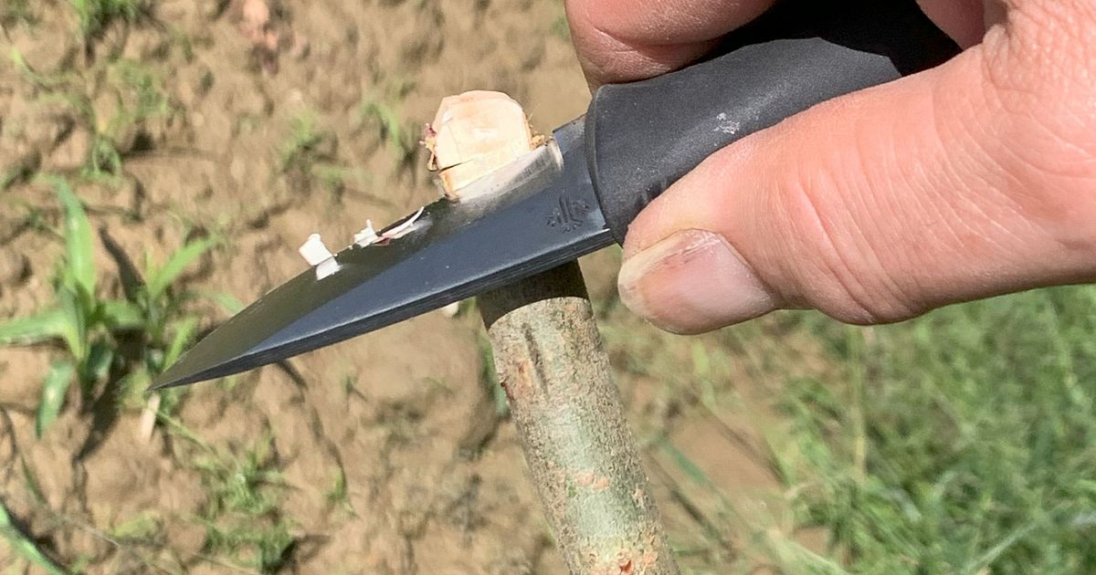 Peltonen Knives - Der Finne bekommt Geschwister: Das 