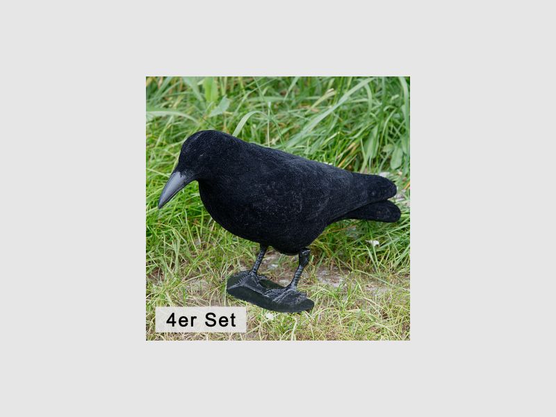 il Lago Passion Rabenkrähe Vollschale(beflockt, 4er Set) |