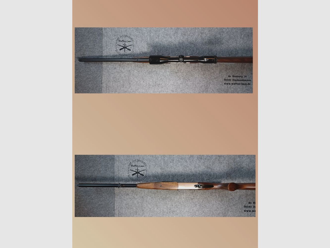 Fucile Blaser Mod. ES 80 con ottica Zeiss Diatal-Z 6x42