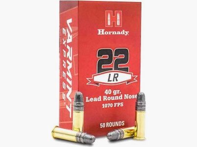 HORNADY 22 LR x 500
