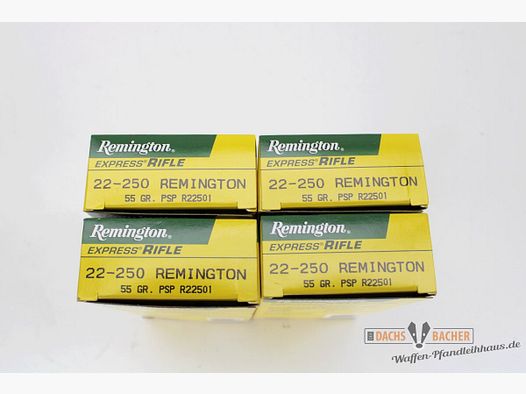 Remington .22-250 Rem 55gr. PSP 80 (4x20) Schuß