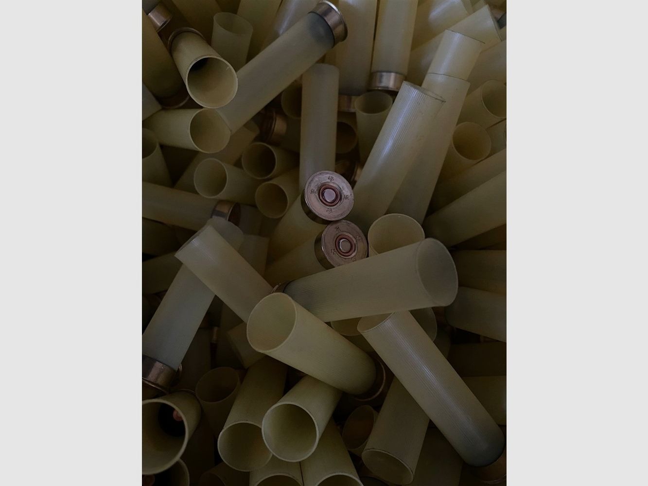 Fiocchi cal.20 t.1 h.70 616, image 3 sur 5